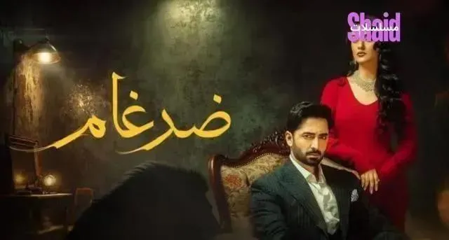مسلسل ضرغام مدبلج - الحلقة 20