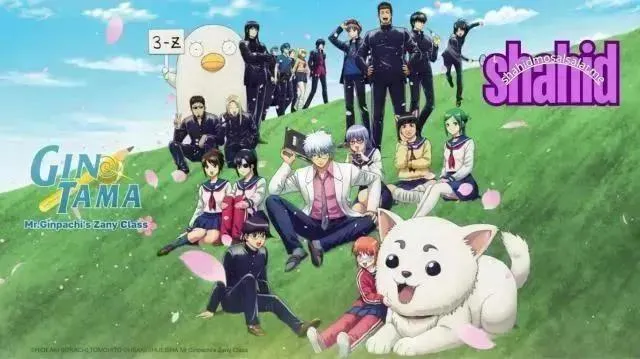انمي ال Gintama 3 Z Ginpachi Sensei مترجم - الحلقة 7