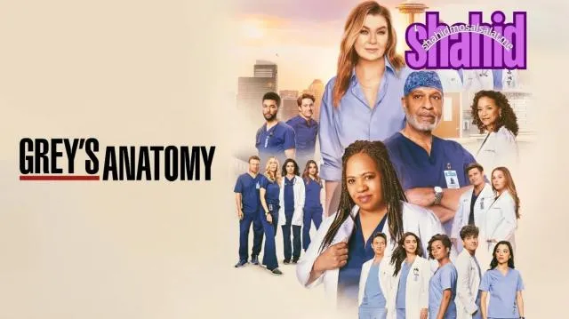 مسلسل Grey's Anatomy الموسم 22