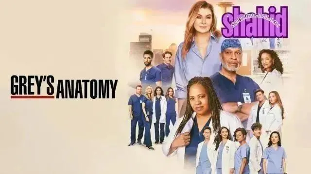مسلسل Grey's Anatomy - الحلقة 9 الموسم 22