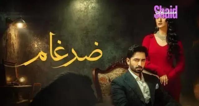 مسلسل ضرغام مدبلج - الحلقة 13