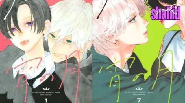انمي ال Uruwashi no Yoi no Tsuki مترجم